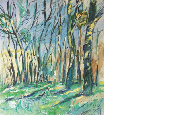 <p>Frühling im Walde</p>